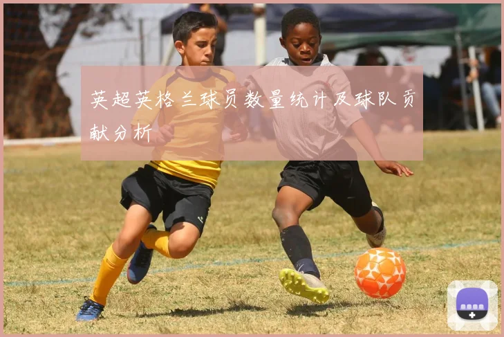 英超英格兰球员数量统计及球队贡献分析
