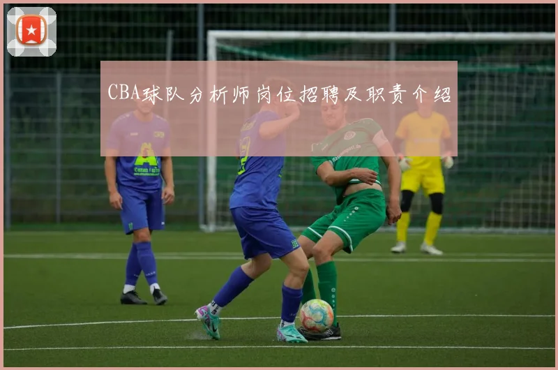 CBA球队分析师岗位招聘及职责介绍